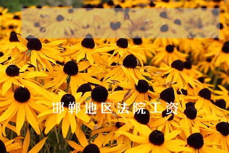 邯郸地区法院工资