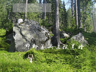 邯郸复兴法院黑暗
