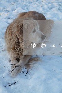 邯郸工程款欠款律师收费 邯郸工程款欠款律师收费