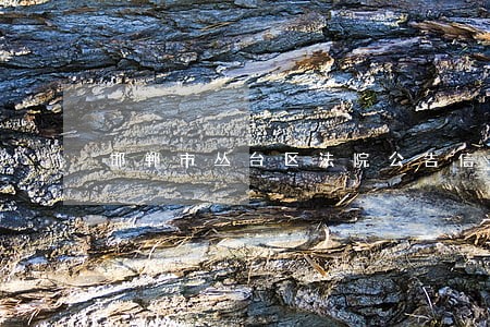 邯郸市丛台区法院公告信息栏 邯郸市丛台区法院公告信息栏