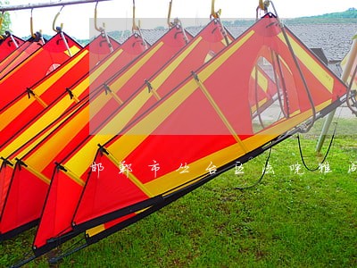 邯郸市丛台区法院雅阁