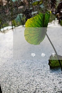邯郸市丛台区法院高学昌