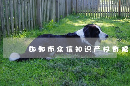 邯郸市众信知识产权有限公司 邯郸市众信知识产权有限公司