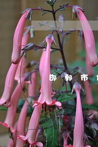 邯郸市信用卡逾期