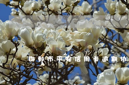 邯郸市平安信用卡逾期协商
