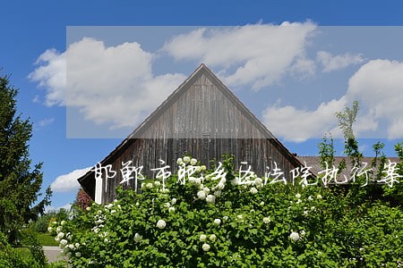 邯郸市肥乡区法院执行案件 邯郸市肥乡区法院执行案件