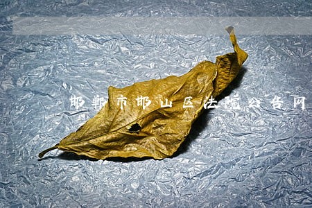 邯郸市邯山区法院公告网