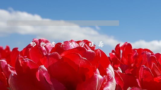邯郸房产律师推荐 邯郸房产律师推荐
