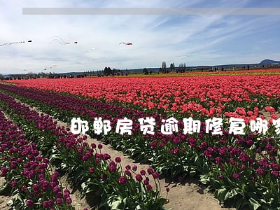 邯郸房贷逾期修复哪家好 邯郸房贷逾期修复哪家好