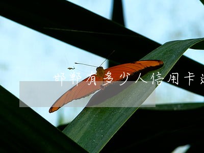 邯郸有多少人信用卡逾期