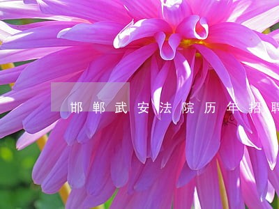 邯郸武安法院历年招聘