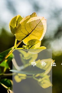 邯郸法律咨询免费在线 邯郸法律咨询免费在线