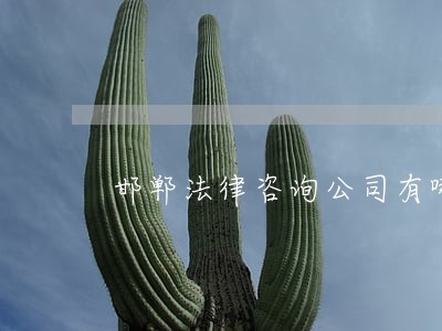 邯郸法律咨询公司有哪些 邯郸法律咨询公司有哪些