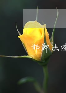邯郸法院10万元诉讼费多少钱