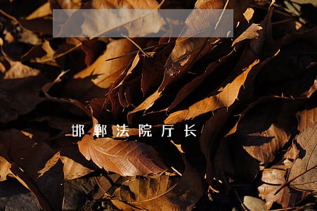 邯郸法院厅长 邯郸法院厅长