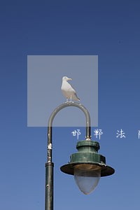 邯郸法院武志红