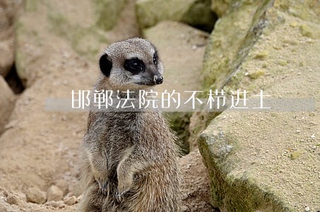 邯郸法院的不栉进士 邯郸法院的不栉进士