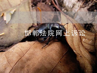 邯郸法院网上诉讼 邯郸法院网上诉讼