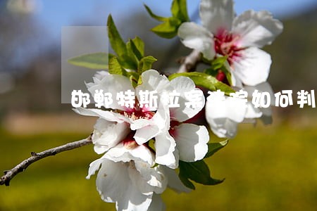 邯郸特斯拉案法院如何判决 邯郸特斯拉案法院如何判决