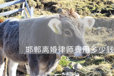 邯郸离婚律师费用多少钱 邯郸离婚律师费用多少钱