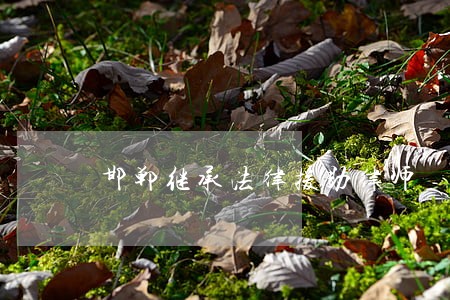 邯郸继承法律援助律师