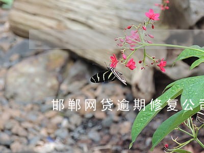 邯郸网贷逾期修复公司 邯郸网贷逾期修复公司