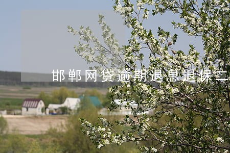 邯郸网贷逾期退息退保二次分期 邯郸网贷逾期退息退保二次分期