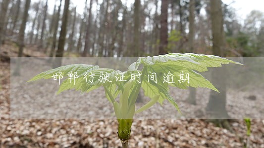 邯郸行驶证时间逾期
