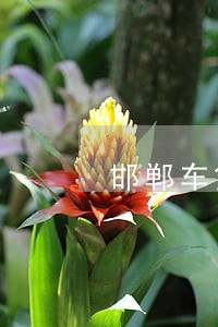 邯郸车贷逾期 邯郸车贷逾期