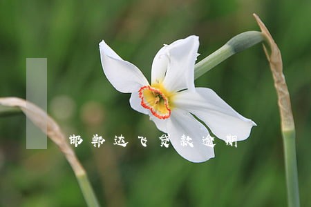 邯郸达飞贷款逾期