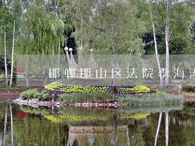 邯郸邯山区法院李海涛