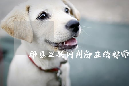 邱县互联网纠纷在线律师 邱县互联网纠纷在线律师