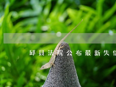 邱县法院公布最新失信人员名单 邱县法院公布最新失信人员名单