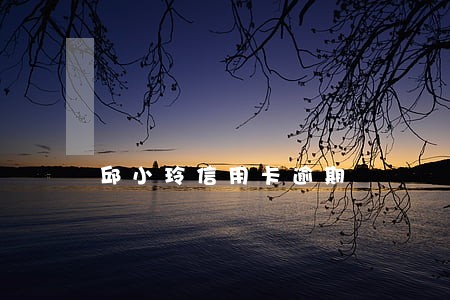 邱小玲信用卡逾期