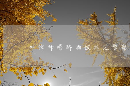 邱律师喝醉酒被抓进警察局 邱律师喝醉酒被抓进警察局