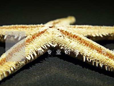 邳州专业的债务合同律师 邳州专业的债务合同律师