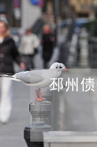 邳州债务合同律师咨询热线 邳州债务合同律师咨询热线
