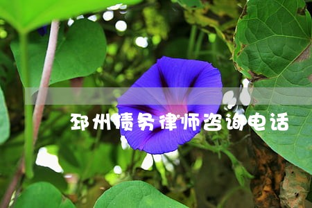 邳州债务律师咨询电话