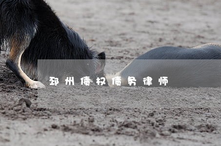 邳州债权债务律师 邳州债权债务律师