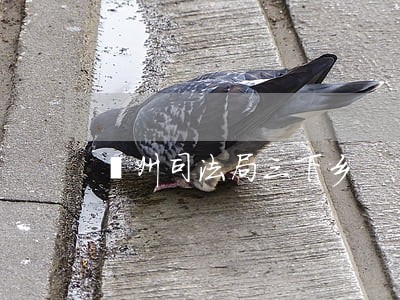 邳州司法局三下乡 邳州司法局三下乡