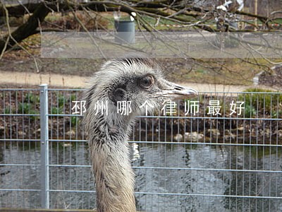 邳州哪个律师最好 邳州哪个律师最好