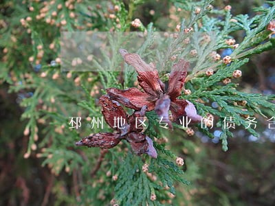 邳州地区专业的债务合同律师 邳州地区专业的债务合同律师