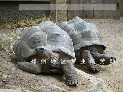 邳州地区专业的劳动工伤律师