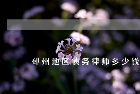 邳州地区债务律师多少钱 邳州地区债务律师多少钱
