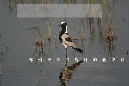 邳州地区口碑好的会见律师排行 邳州地区口碑好的会见律师排行