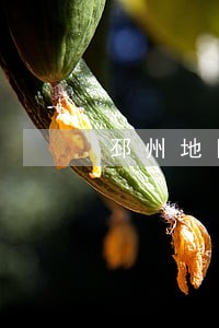 邳州地区找债务律师 邳州地区找债务律师