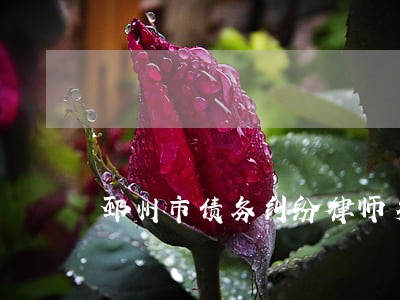 邳州市债务纠纷律师多少钱 邳州市债务纠纷律师多少钱