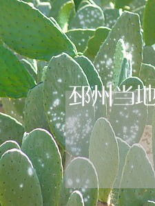 邳州当地口碑好的债务合同律师 邳州当地口碑好的债务合同律师
