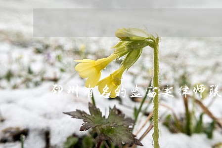 邳州有名的盗窃案律师联系方式 邳州有名的盗窃案律师联系方式