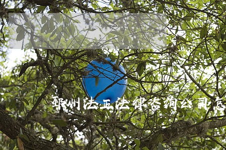 邳州法正法律咨询公司怎么样
